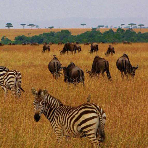 What Does Africa Look Like